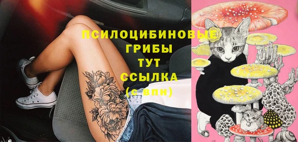 твердый Заволжск