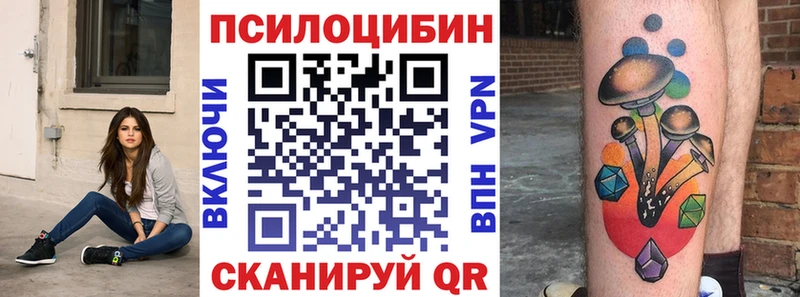 Купить закладки  Кизел  Галлюциногенные грибы прущие грибы 